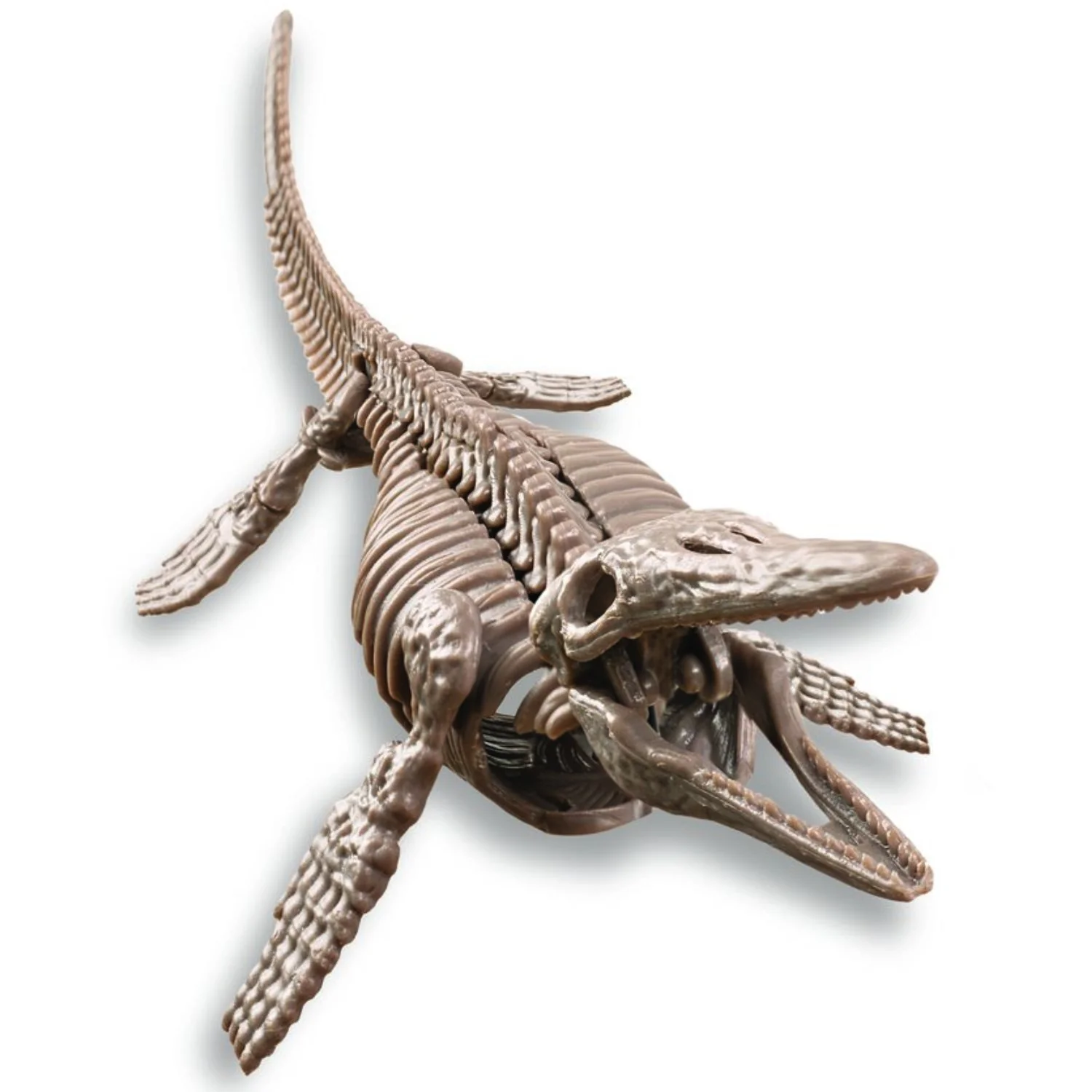 4M Udgrav Et Mosasaurus-Skelet - Image 4