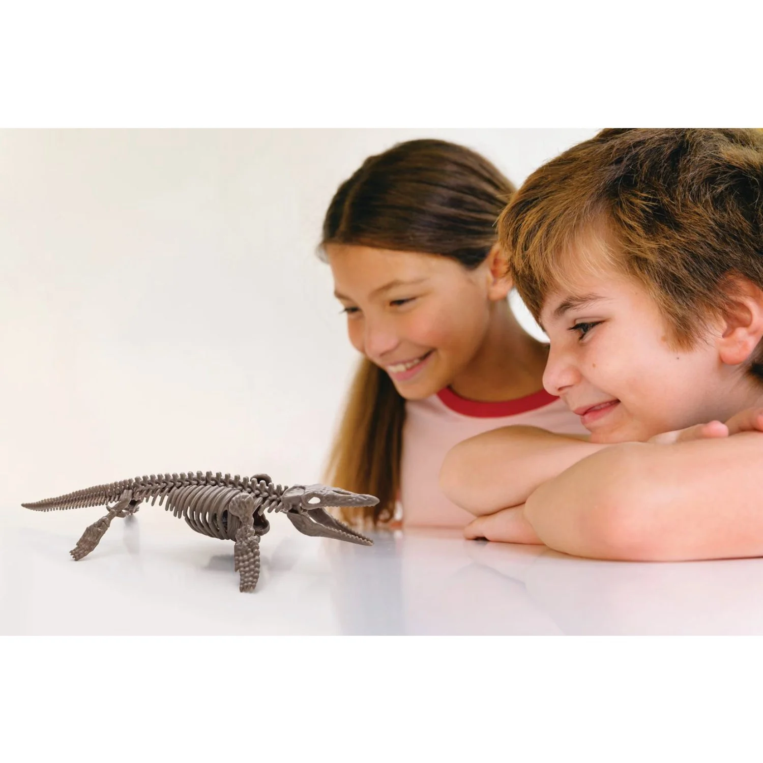4M Udgrav Et Mosasaurus-Skelet - Image 6