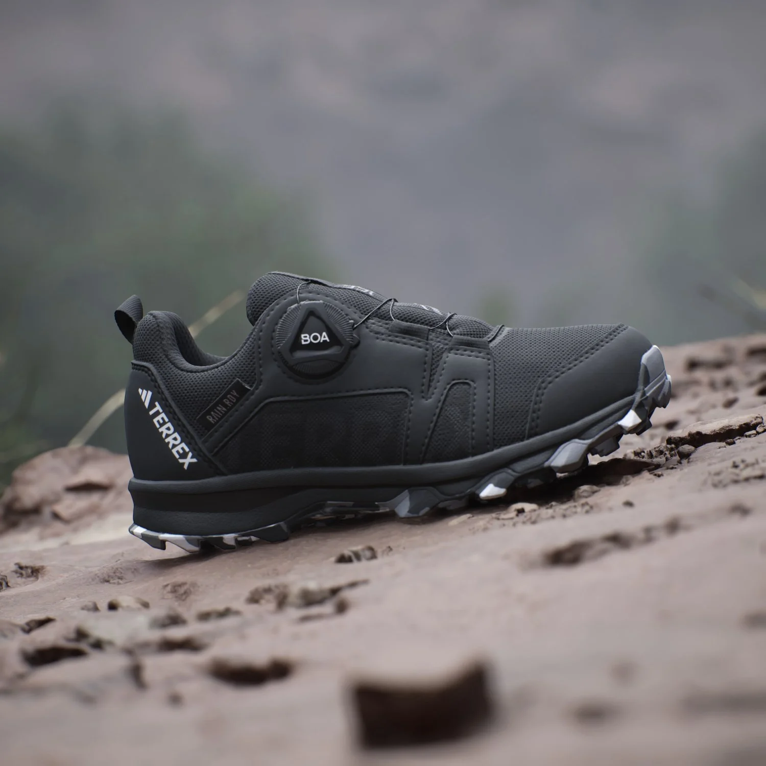adidas Originals Core Black/Ftwr White/Grey Three Terrex Agravic Boa R.Rdy K Sko - Image 2