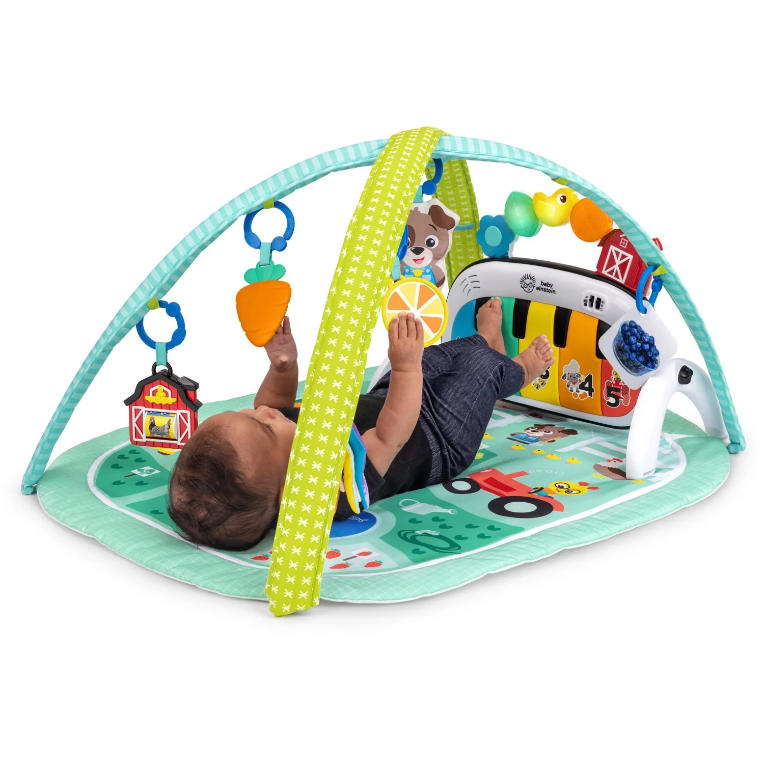 Baby Einstein 4-in-1 Kickin’ Tunes™ Musical Meadow™ Musik & Language Discovery Gym - Image 5