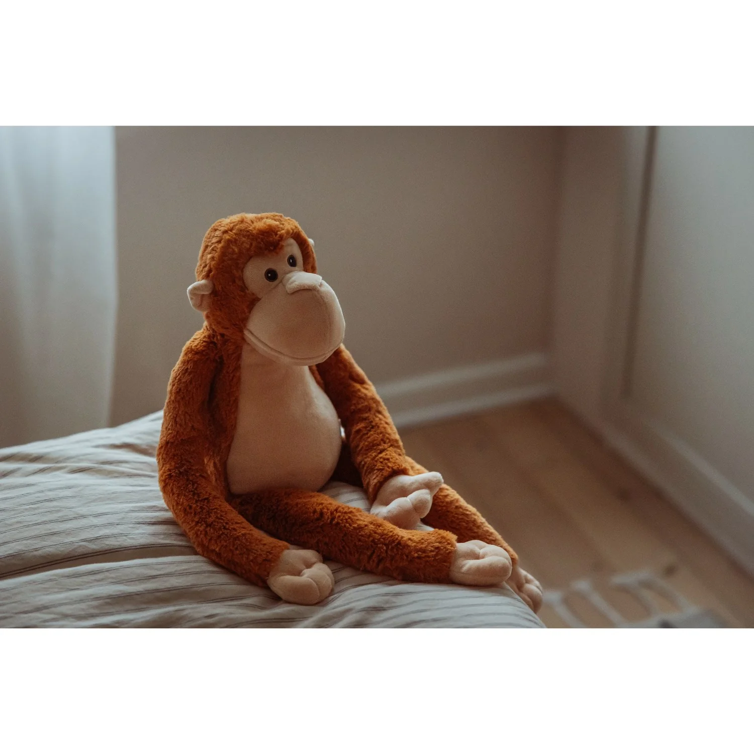 by Astrup Tyngdedyr, Abe, 1,8 Kg. - Image 4