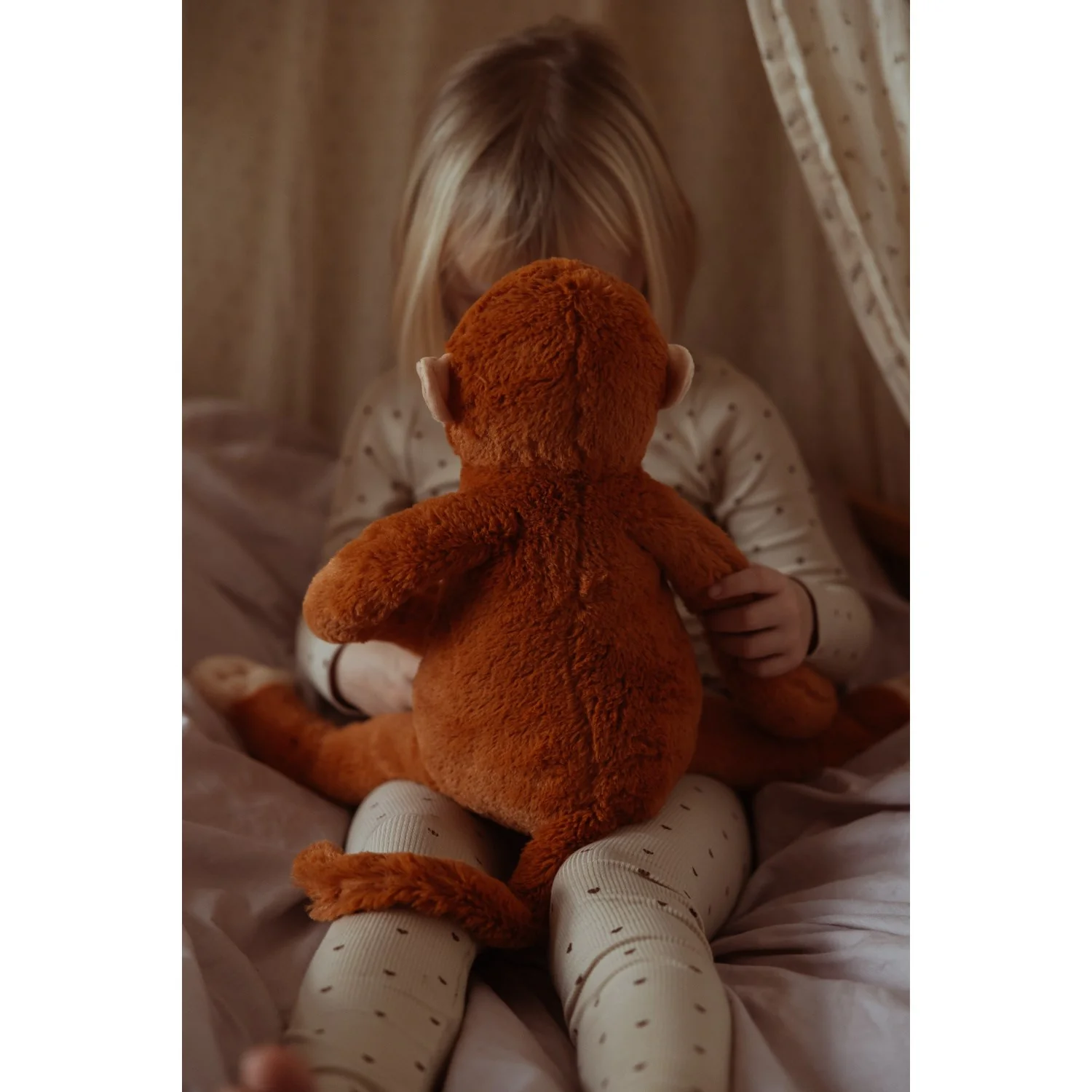 by Astrup Tyngdedyr, Abe, 1,8 Kg. - Image 7
