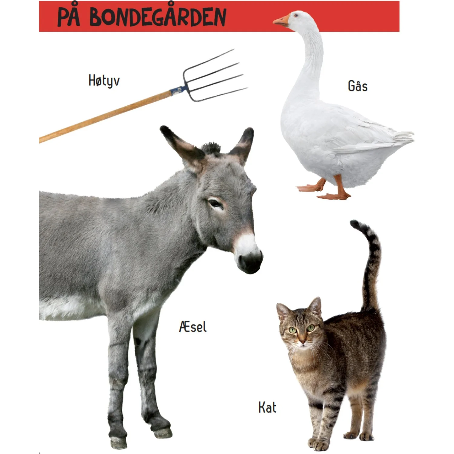 Forlaget Tukan Kig Engang - Hvad Er Det? BondegĂĄrd - Image 2