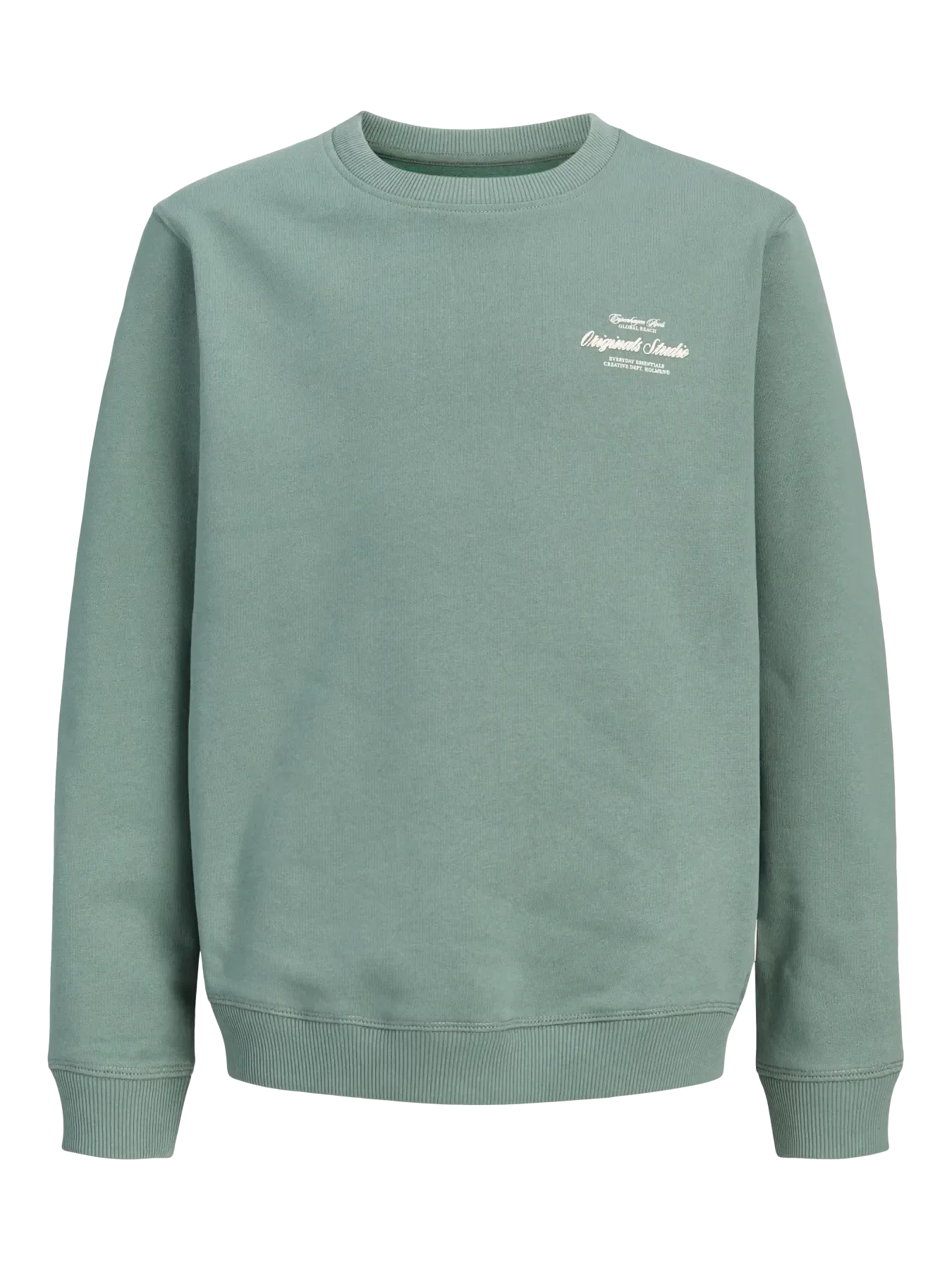 Jack & Jones Junior Laurel Wreath Jornorrebro Typo Back Sweat Cn Jnr