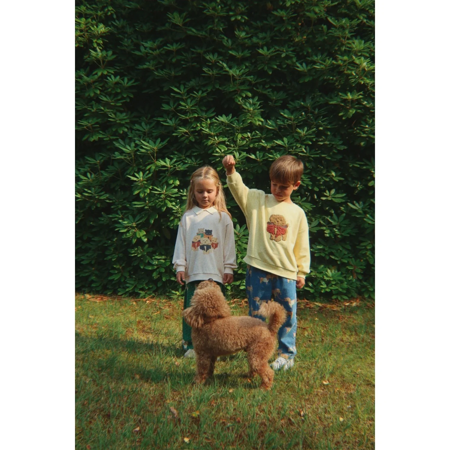 Konges Sløjd Family Photo Spotty Ls Polo GOTS - Image 5