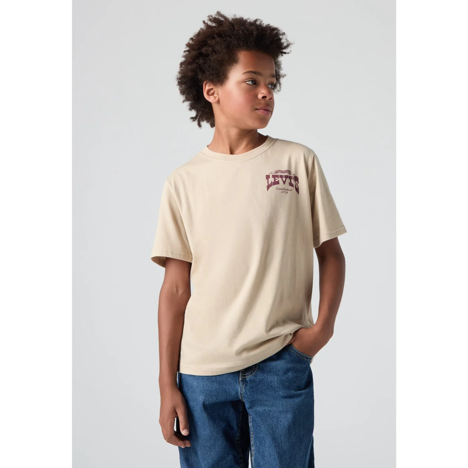 Levi's White Pepper Galloping Free Tee