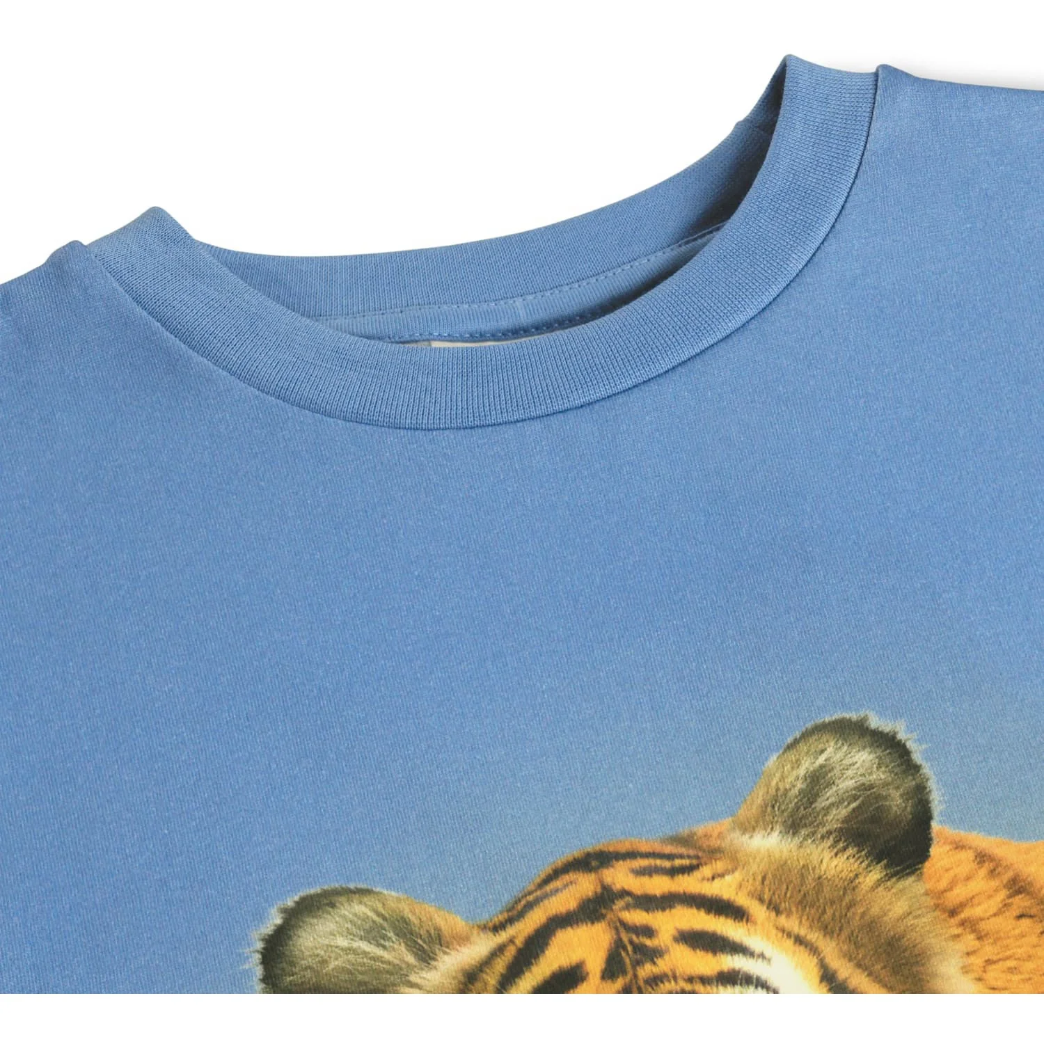 Molo Tiger On Blue Rubin T-Shirt - Image 2