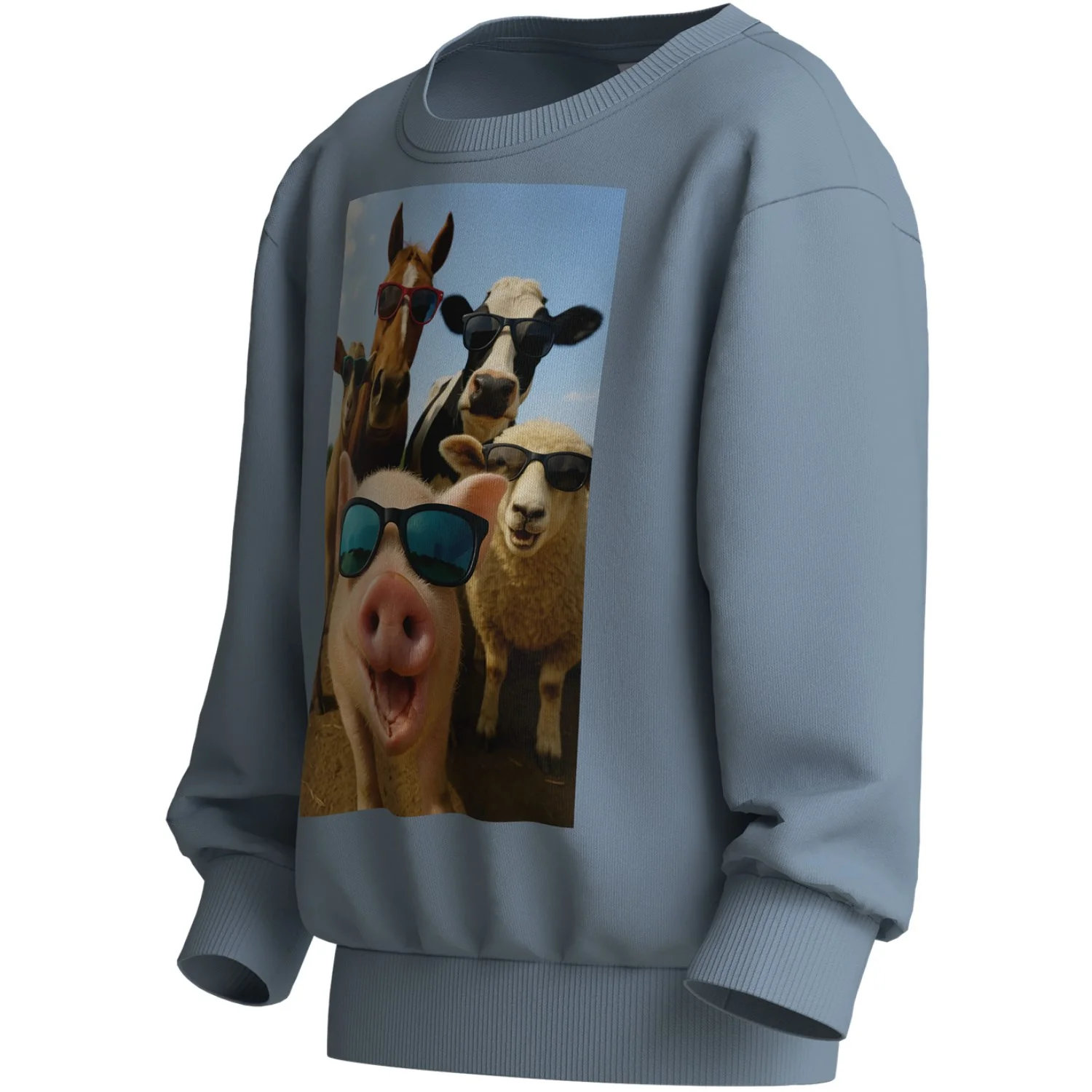 Name It Ashley Blue Farm Animals Nmmvoto Ls Nreg Sweat Unb - Image 2
