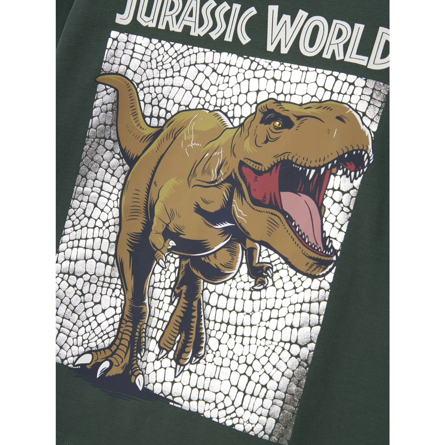 Name It Garden Topiary Nmmjewel Jurassic Nreg Ls Top Noos Sky - Image 4