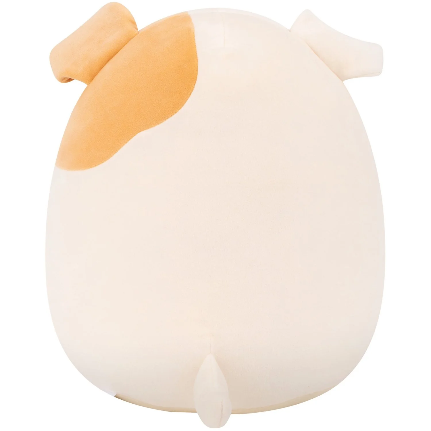 Squishmallows Brock Bulldog 30 Cm P24 - Image 6