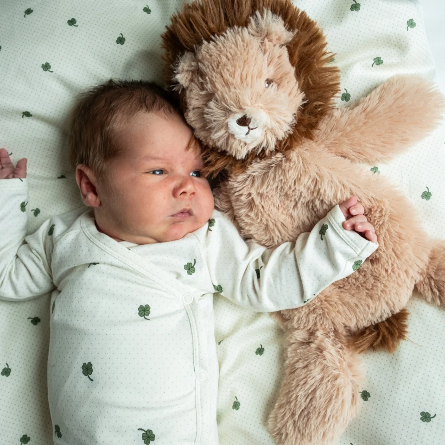That's Mine Lion Houston Heavy Bamse Small - Image 3