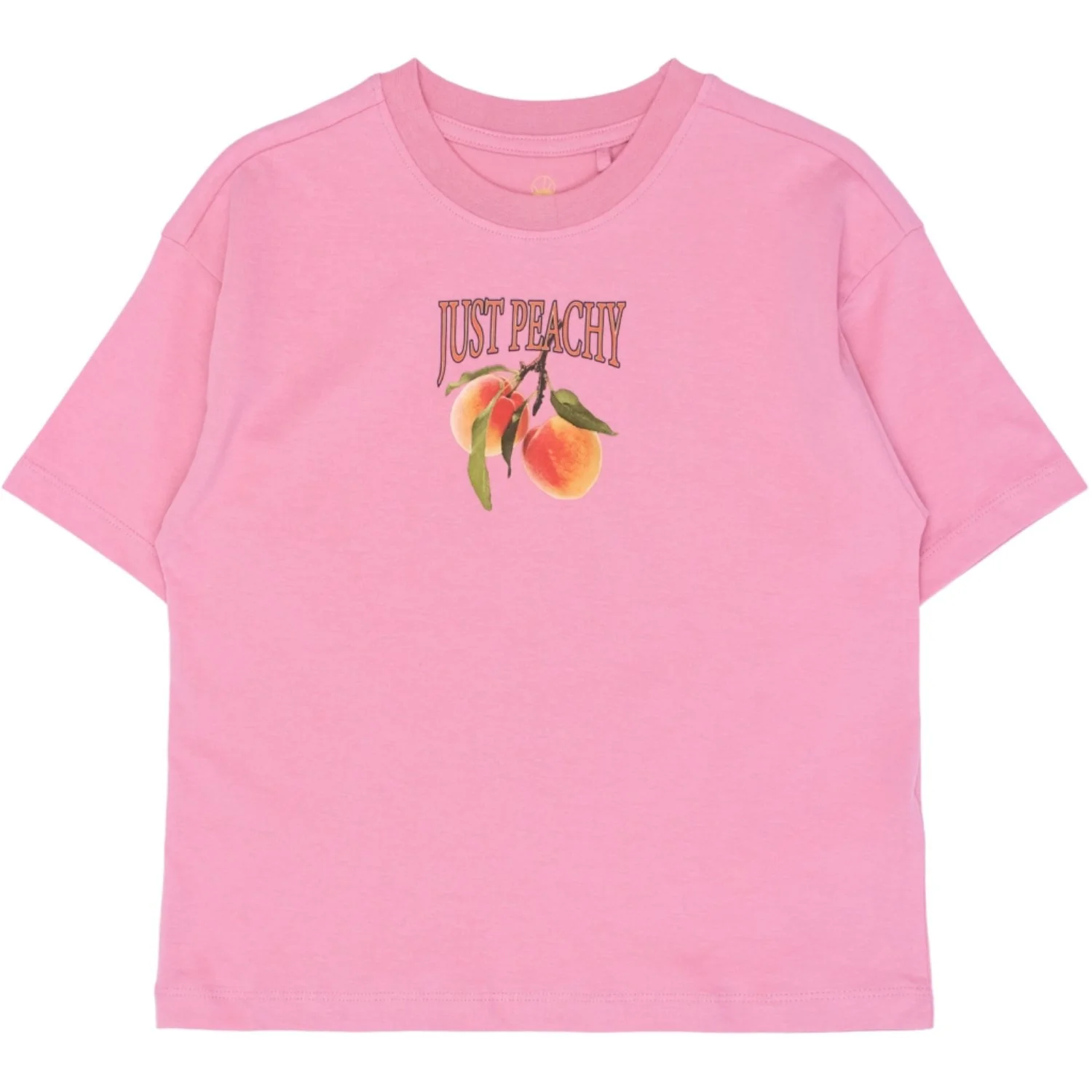 The New Cashmere Rose Tntenna Os S_S Tee